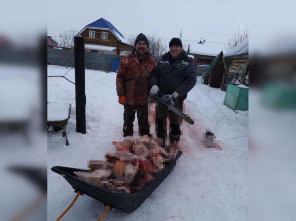 Мэр Сибая забил коня и отправил мясо в зону СВО для военнослужащих из Башкирии 